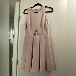 Club Monaco Blush Dress